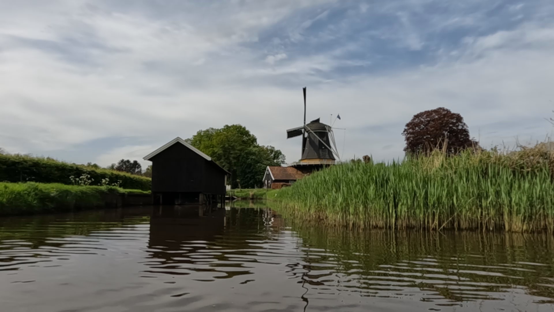 Kanoën langs de historische molen en natuur langs de Regge